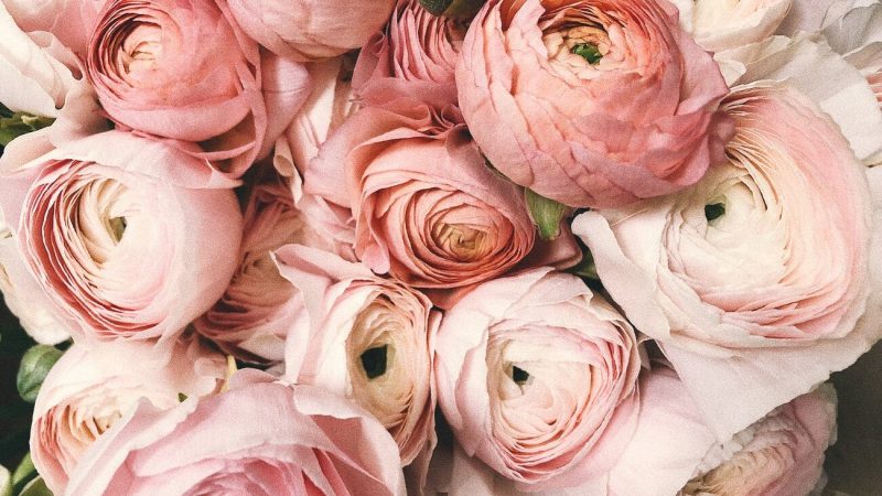 10 At Home Valentine’s Day Ideas